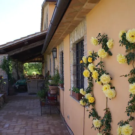 Borgo Callauzzo * Sismano