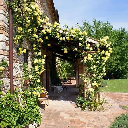 Borgo Callauzzo *